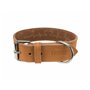 Collier pour Chien Trixie Marron 38-47 cm