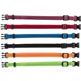 Collier pour Chien Trixie Noir Rouge Bleu de Colbat Pomme M/L 22-35 cm (6 Unités)