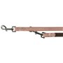 Laisse pour Chien Trixie Marron S/M 2 m