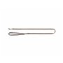 Laisse pour Chien Trixie Premium Noisette 1,2 m