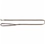 Laisse pour Chien Trixie Premium Noisette 1,2 m