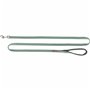Laisse pour Chien Trixie Premium Vert 1,8 m