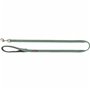 Laisse pour Chien Trixie Premium Vert 1 m L/XL