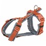 Harnais pour Chien Trixie Premium Trekking Orange Graphite M/L