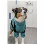 Peignoir pour chien Trixie Bleu XS
