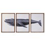 Jeu de 3 tableaux DKD Home Decor 150 x 2 x 70 cm Baleine