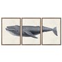 Jeu de 3 tableaux DKD Home Decor 150 x 2 x 70 cm Baleine