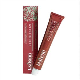 Teinture permanente Exitenn Color Creme Fuchsia (60 ml)