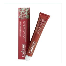 Teinture permanente Color Creme Exitenn Nº V77 Tropical Raspberry (60 ml)