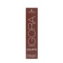 Teinture permanente Igora Color10 Schwarzkopf 7-00 (60 ml)