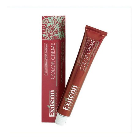 Teinture permanente Color Creme Exitenn Nº 562 Plum (60 ml)