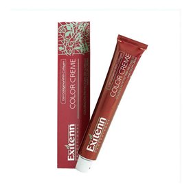 Teinture permanente Color Creme Exitenn Nº 870 Chocolate Cherry (60 ml)