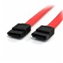 Câble SATA Startech SATA36              