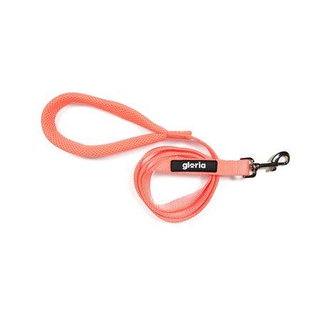 Laisse pour Chien Gloria Rose S