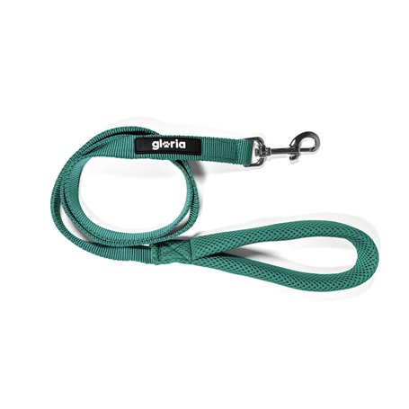 Laisse pour Chien Gloria Turquoise S