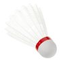 Volant de Badminton Atipick RQB40024 Blanc