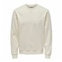 Sweat sans capuche homme Only & Sons Onsdan Unshed Reg Crew Neck Blanc