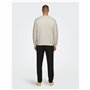 Sweat sans capuche homme Only & Sons Onsdan Unshed Reg Crew Neck Blanc