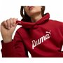 Sweat à capuche femme Puma Essentials+ Script