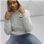 Sweat à capuche homme Puma Ess+ 2 Col Small Log