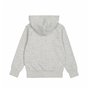 Sweat à capuche homme Champion Gris clair