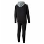 Survêtement pour Adultes Puma Essentials+ Colorblock Suit FL Homme
