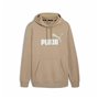 Sweat à capuche homme Puma Essentials+ 2 Col Big Logo Fl Marron