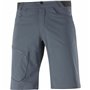 Short de Sport Salomon Wayfarer Montagne Gris