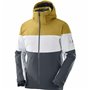 Anorak de ski Salomon Slalom Gris Homme