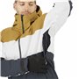 Anorak de ski Salomon Slalom Gris Homme