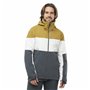 Anorak de ski Salomon Slalom Gris Homme