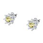 Boucles d´oreilles Femme Morellato SAIW188