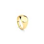 Bague Homme Radiant RH000131-18 18
