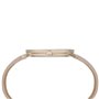 Montre Femme Pierre Cardin CBV-1010