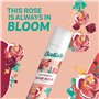 Shampooing sec Batiste Rose Gold 350 ml