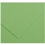 Papiers carton Iris Apple Vert 50 x 65 cm