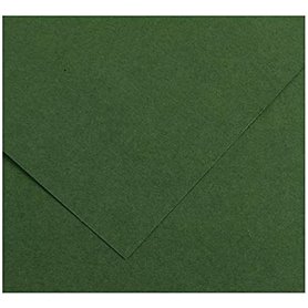 Papiers carton Iris Amazon Vert 50 x 65 cm