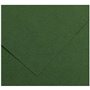 Papiers carton Iris Amazon Vert 50 x 65 cm