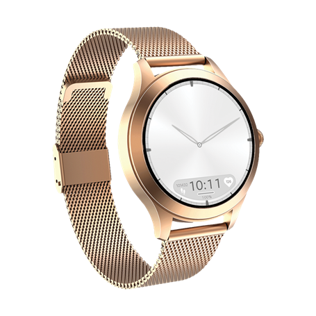 Montre connectée FW44 2 Gold Maxcom