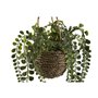 Plante décorative Home ESPRIT Polyéthylène Fibre 16 x 16 x 70 cm (2 Unités)