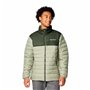 Veste de Sport pour Homme Columbia Powder Lite II Vert