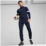 Survêtement pour Adultes Puma Individualrise Bleu Blue marine Homme