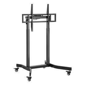 Support de TV Aisens FTF100E-271 55" 100"