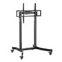 Support de TV Aisens FTF100E-271 55" 100"