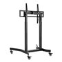Support de TV Aisens FTF100E-271 55" 100"