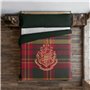 Housse de Couette Harry Potter Wizard Dinasty 260 x 240 cm Lit king size
