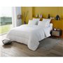 DODO - Couette extra chaude - NUITS DE REVE - 220 x 240 cm - 400gr/m² - Blanc