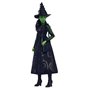 Mattel-Wicked-Poupée Elphaba avec accessoires et habillages amovibles - Wicked - HXT62