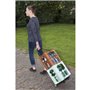 MEISTER Mini diable pliable 45 kg