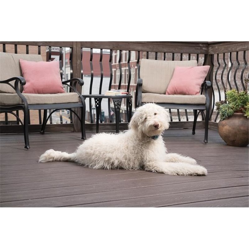 Image secondaire de PetSafe - Collier anti aboiement rechargeable Lite, Etanche, Réduit les aboiements chez les chiens timides + de 3,6 Kg